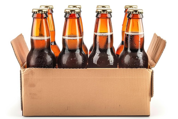 Six pack of Beer bottles in a cardboard carton with isolated on white background