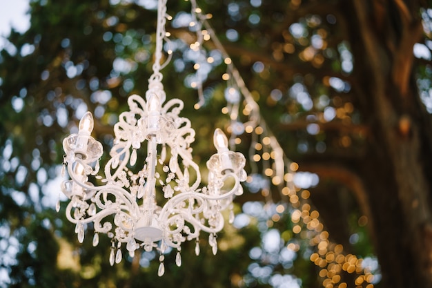 Sixlight crystal chandelier and garland hanging from the tree decorating a wedding dinner outside