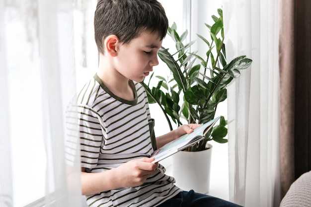 A sixyearold boy is reading a book while sitting by the window Home schooling