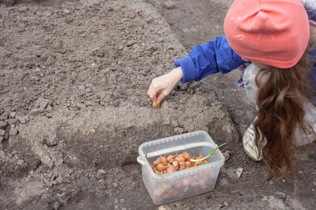 A sixyearold girl holding a bulb for planting