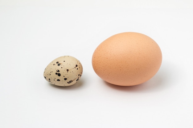 Size comparison between a quail egg and a chicken egg isolated  