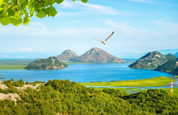 Lago di scutari in estate