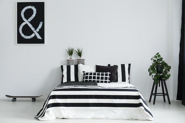 Skateboard and plants in bedroom