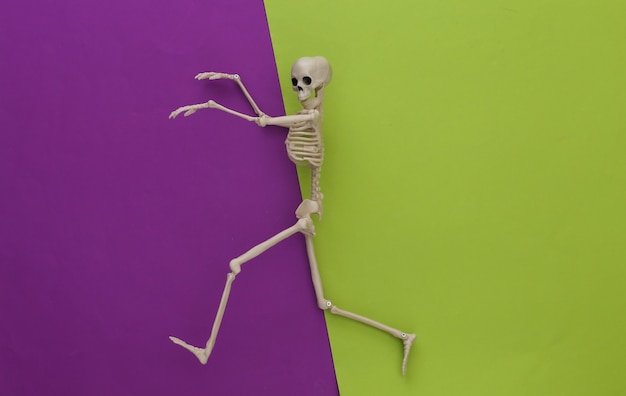 Skelet op groen paars papier. Halloween-decoratie, eng thema