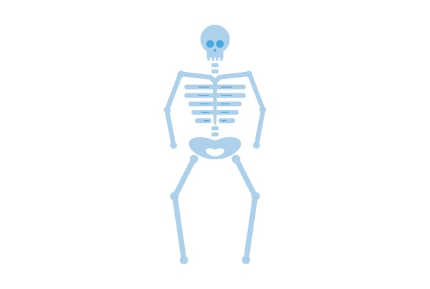 Skeleton colored icon Halloween symbol app and web sign art