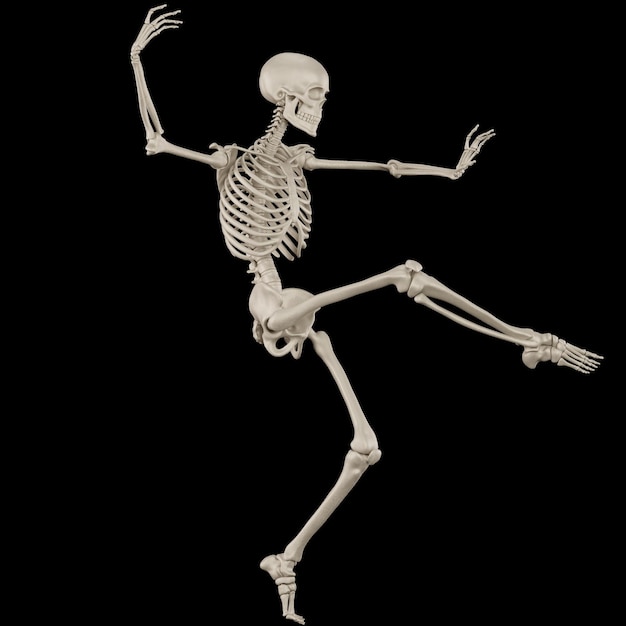 A skeleton is standing on a black background and is facing the camera