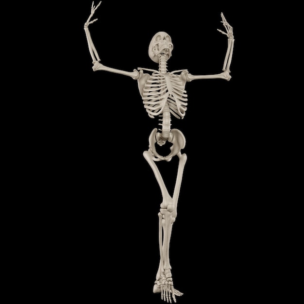 a skeleton is standing in front of a black background