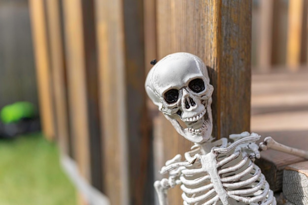 Skeleton on outside decking for Halloween celebration