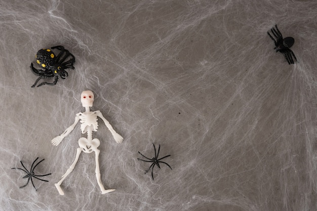 Skeleton and spiders in a web on a gray concrete background, halloween concept, copy space.