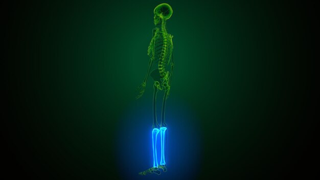 Photo a skeleton with blue neon lights in the dark