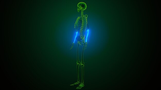 a skeleton with a green glow in the dark