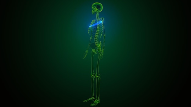 a skeleton with a neon green glow in the dark