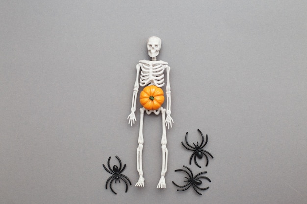 Skeleton with pumpkin and black spiders on a grey background. halloween concept