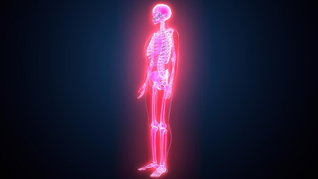 Photo a skeleton with a red neon light inside