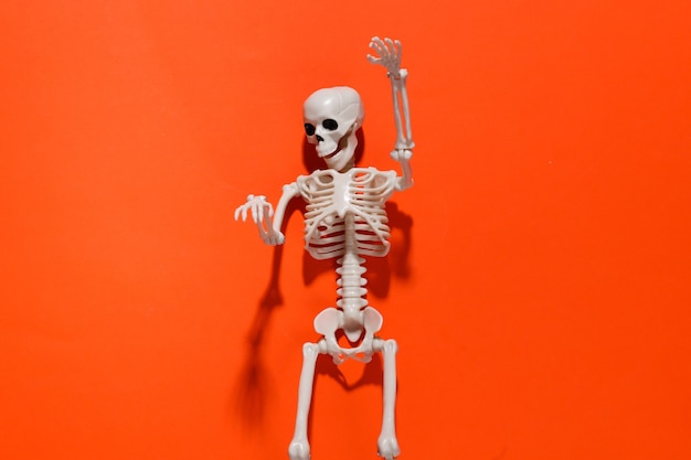 Skeletons on orange bright. Halloween decoration, scary theme