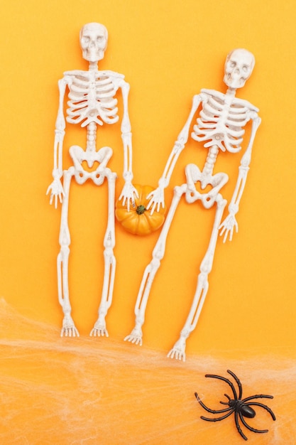 Skeletons with pumpkin spider web and black spiders on orange background halloween concept