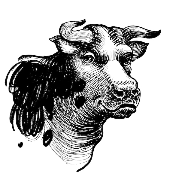 A sketch of a bull with a black face.