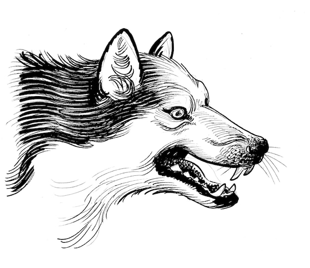 Photo a sketch of a dog with a black and white face.