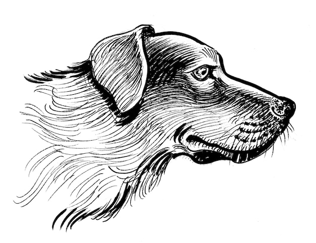 Foto uno schizzo di un cane con un naso lungo e un naso lungo.