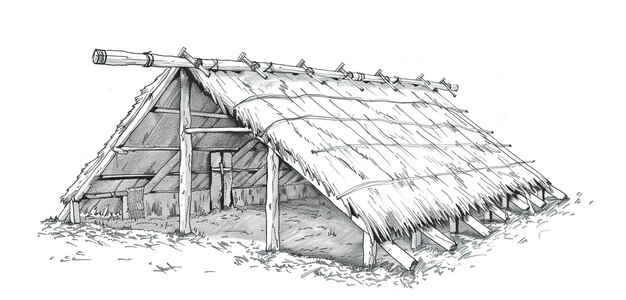 Photo a sketch of a hut with birds on it