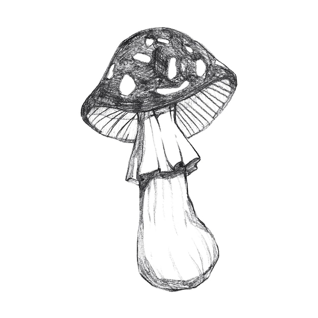 Sketch-stijl tekening met grappige vlieg agaric