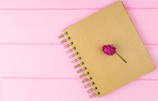 A sketchbook on a pink wooden background with a dry rose