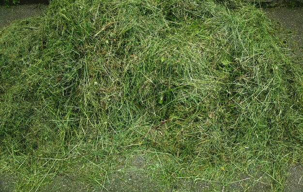 歪んだ緑の芝生の庭の背景