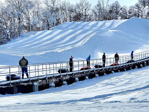 Ski Area