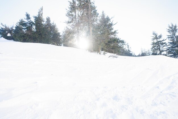 Ski piste and chair lift with snow covered trees on sunny day Combloux ski area French alps