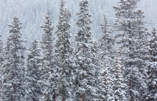 Ski resort at the end of the season after the snow storm in Colorado.