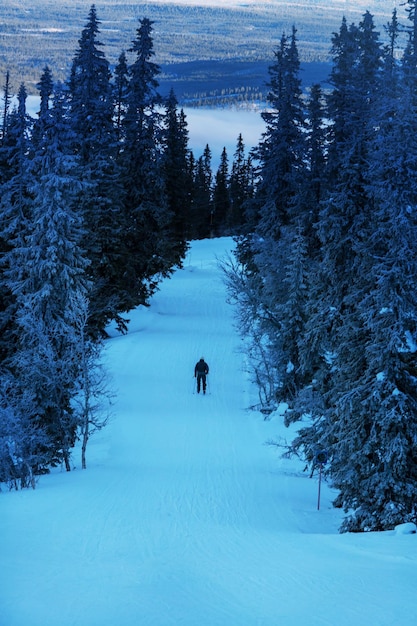 Ski resort