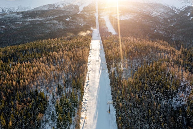 Ski run in the forest, top view