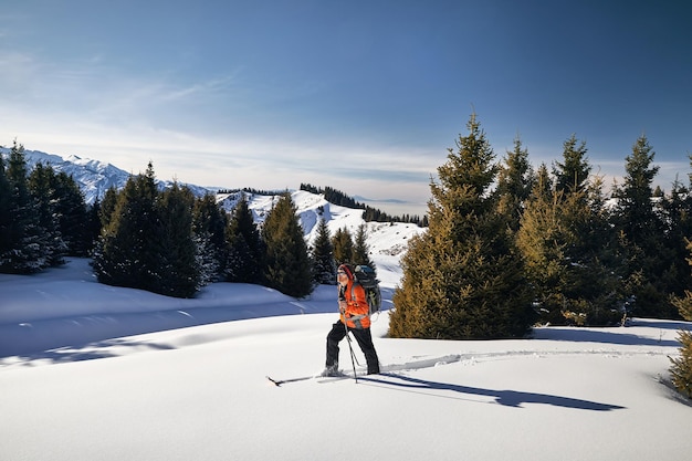 Ski touring on the fresh powder snow