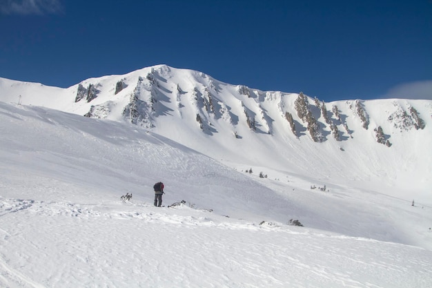 산에서 스키 투어링 겨울 프리라이드 익스트림 스포츠 눈 덮인 산에서 스키