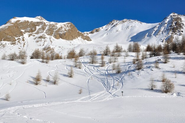 Ski tracks zigzagging on the slope in snowy mountain and under blue sky 