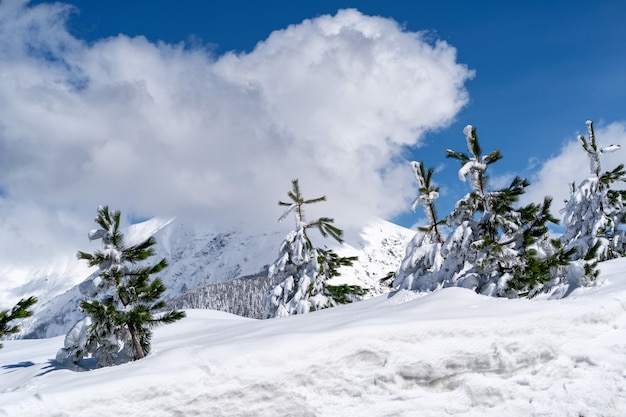 Skiën en snowboarden in het bergskigebied