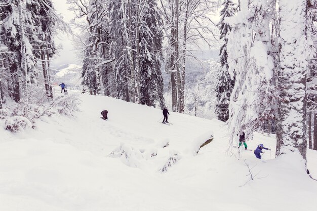 Skiërs en snowboarders dalen de berg af