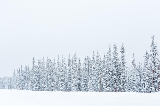 Skigebied aan het eind van het seizoen na de sneeuwstorm in Colorado.