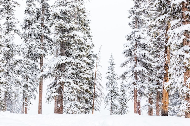 Skigebied aan het eind van het seizoen na de sneeuwstorm in Colorado.