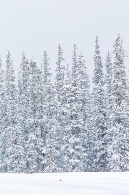 Skigebied aan het eind van het seizoen na de sneeuwstorm in Colorado.