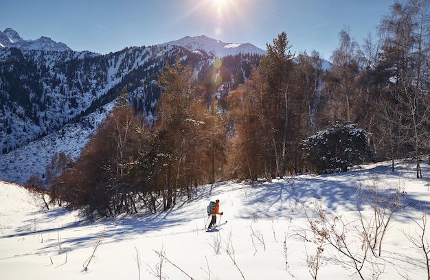 Skiing on the fresh powder snow