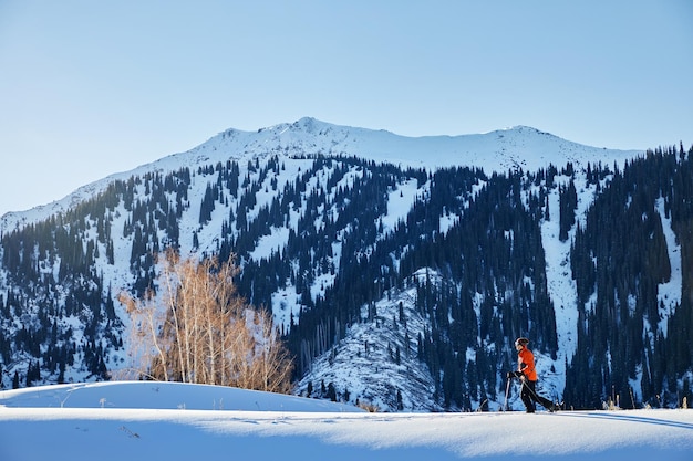 Skiing on the fresh powder snow