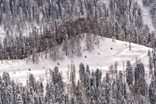 ロシア、ソチのクラスナヤポリャナのマウンテンスキーリゾートでのスキーとスノーボード。