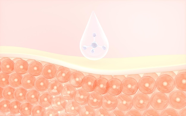 Skin cells absorb the serum 3d rendering