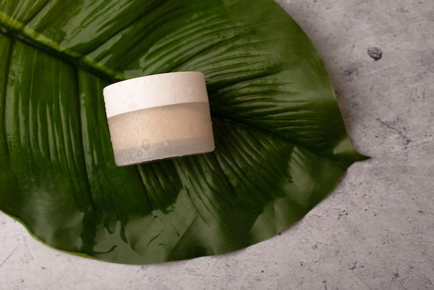 Skin cream jar on a green leaf of monstera on a concrete background Top view space for text