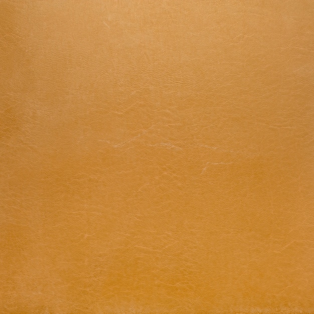 Photo skin leather background