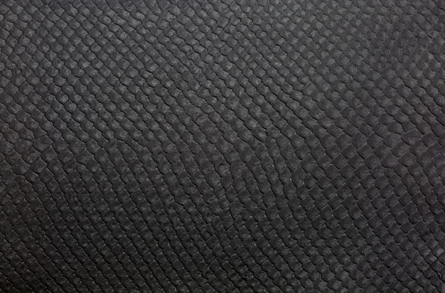 skin leather background