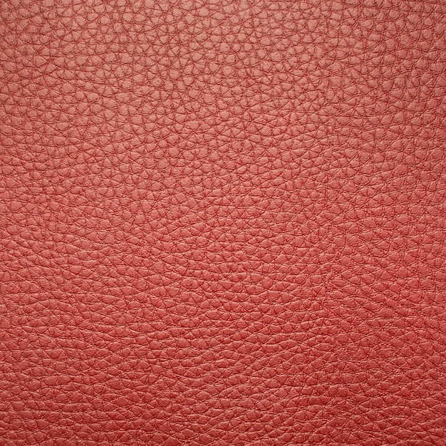 skin leather background