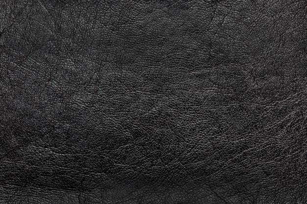 skin leather background