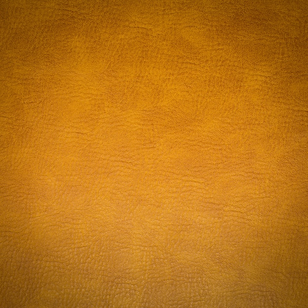 skin leather background